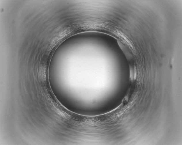 X0000088220489200705151417