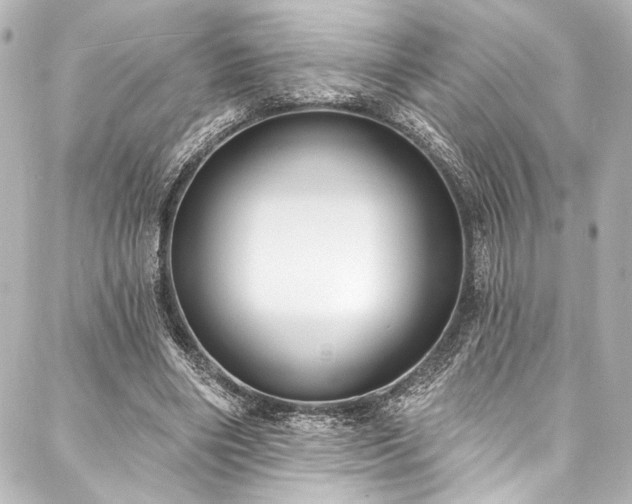 X0000088220490200705151417