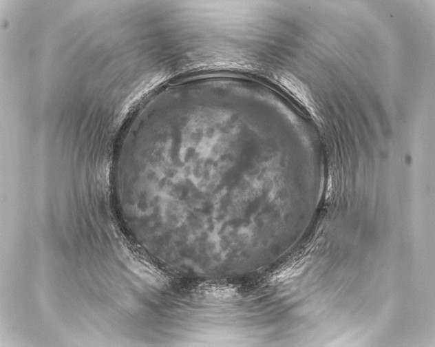 X0000088220491200705151417