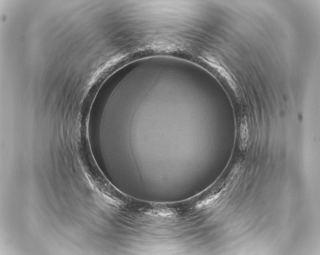 X0000088220492200705151417