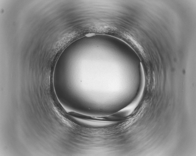 X0000088220493200705151417