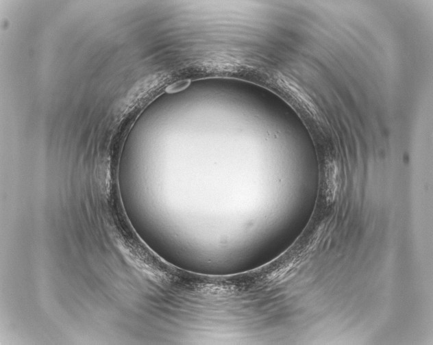 X0000088220494200705151417