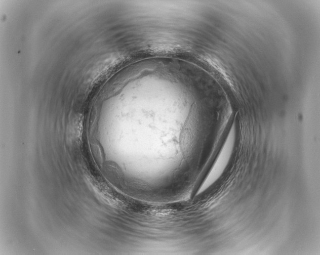 X0000088220495200705151417