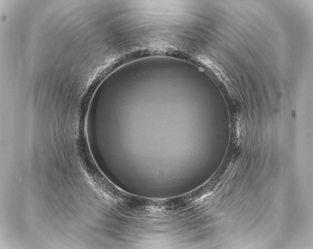 X0000088220496200705151417