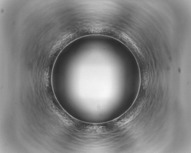 X0000088220497200705151417