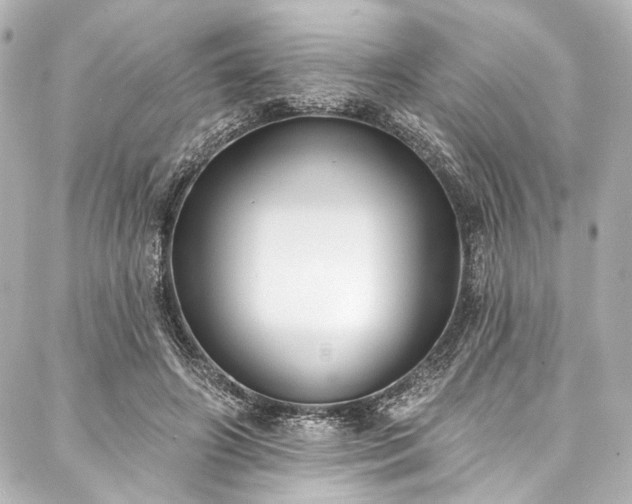 X0000088220498200705151417