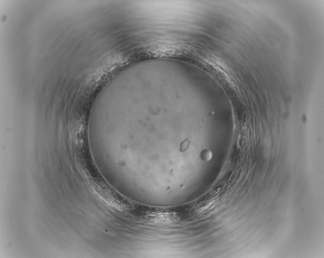 X0000088220499200705151417