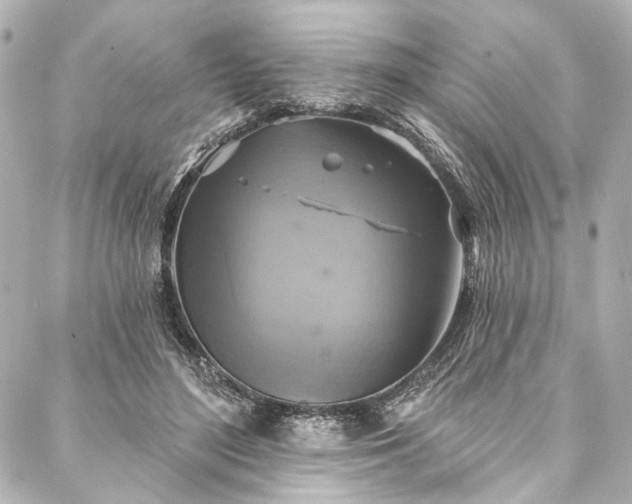 X0000088220500200705151417