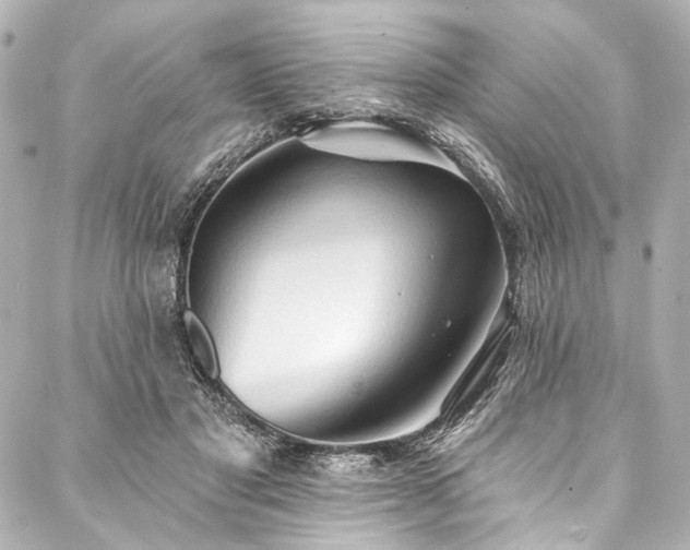 X0000088220501200705151417