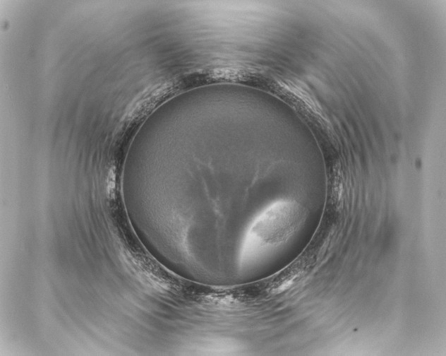 X0000088220502200705151417