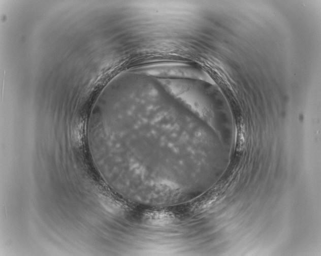 X0000088220503200705151417