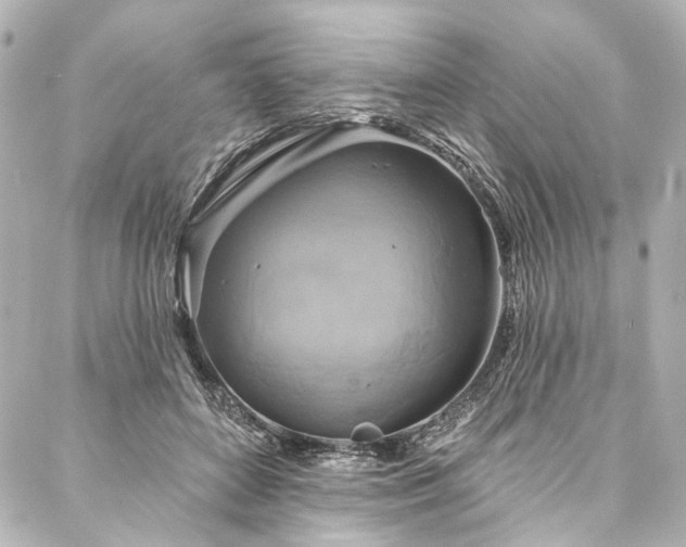 X0000088220504200705151417