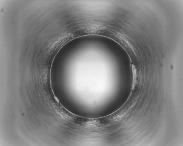 X0000088220505200705151417