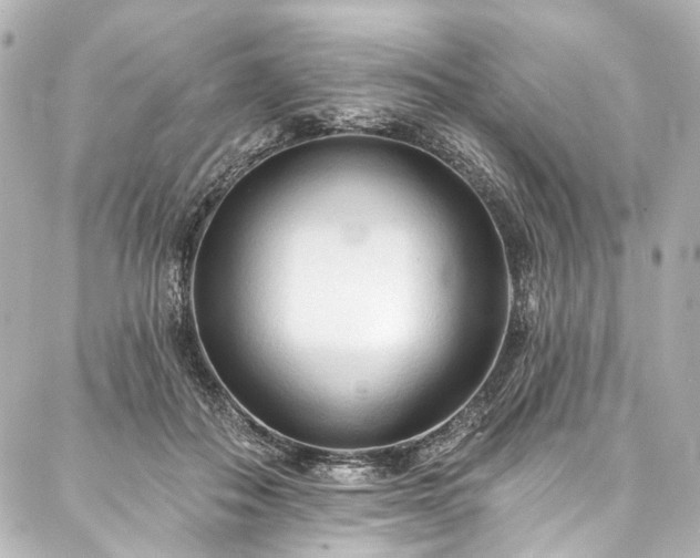 X0000088220506200705151417