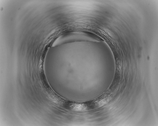 X0000088220507200705151417