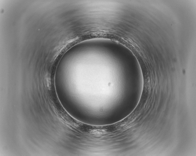 X0000088220508200705151417