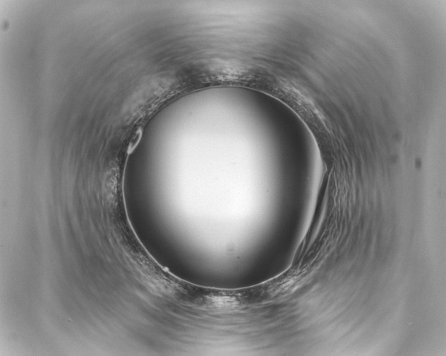 X0000088220509200705151417