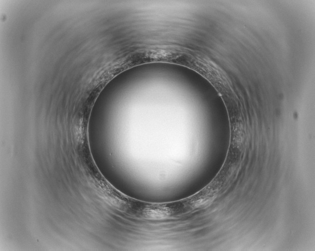 X0000088220510200705151417