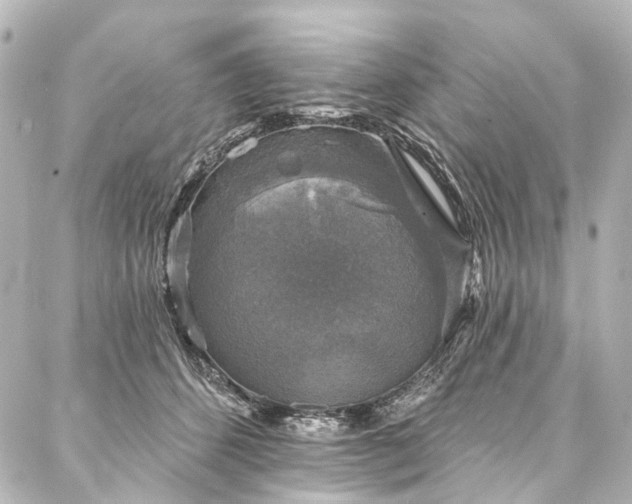 X0000088220512200705151417