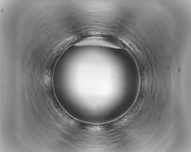 X0000088220513200705151417