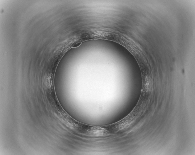 X0000088220514200705151416