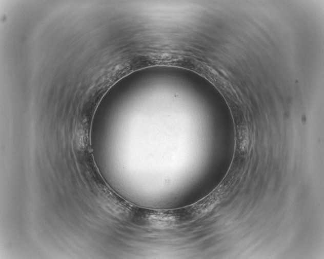 X0000088220515200705151416