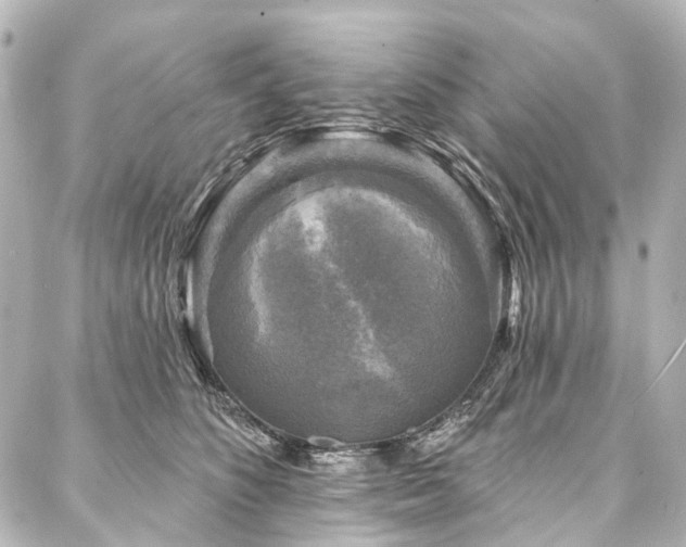 X0000088220516200705151416