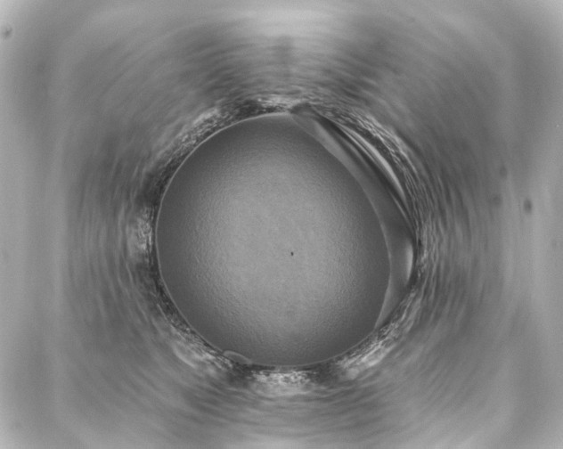 X0000088220517200705151416