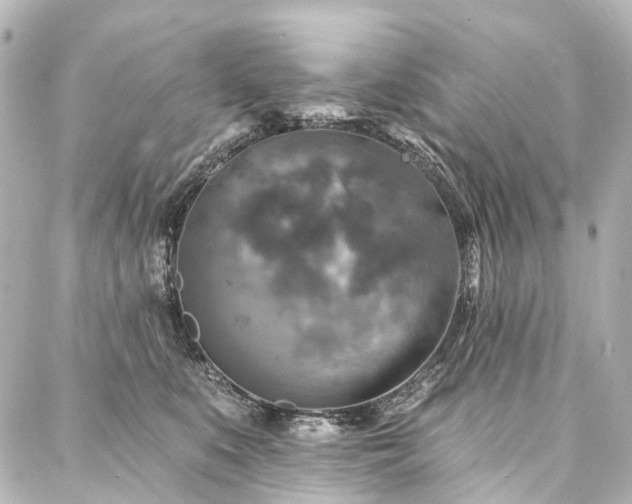 X0000088220519200705151416