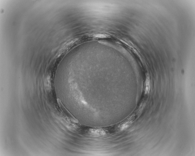 X0000088220520200705151416