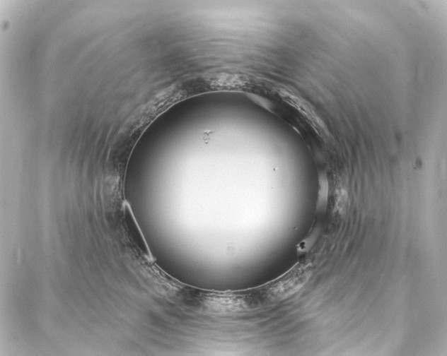 X0000088220521200705151416