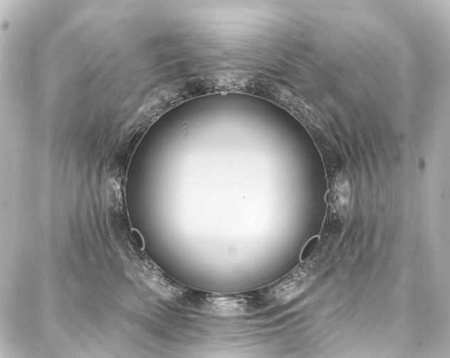 X0000088220522200705151416