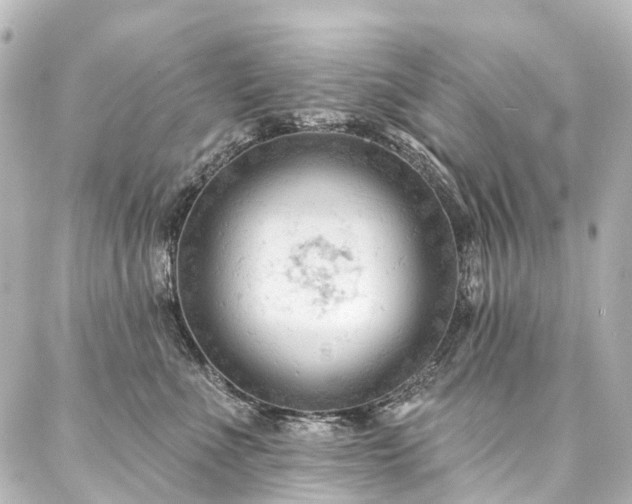 X0000088220523200705151416