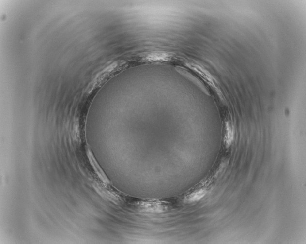 X0000088220524200705151416