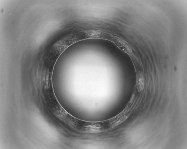 X0000088220525200705151416