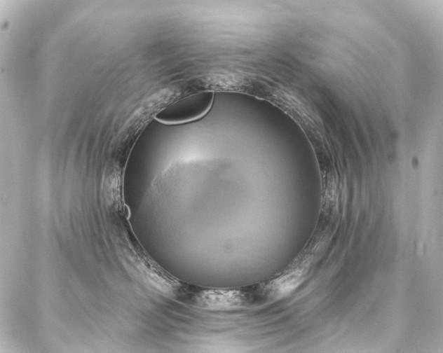 X0000088220526200705151416