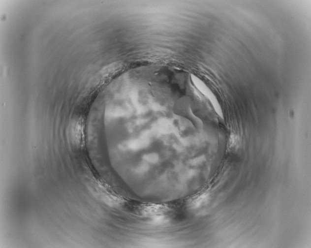 X0000088220527200705151416