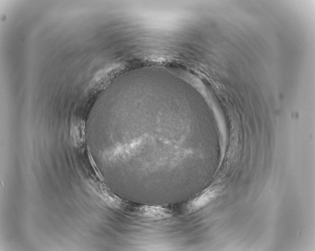 X0000088220528200705151416