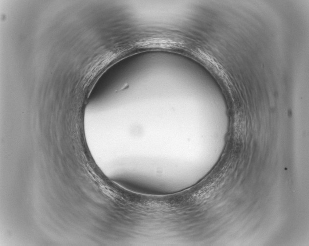 X0000088220529200705151415