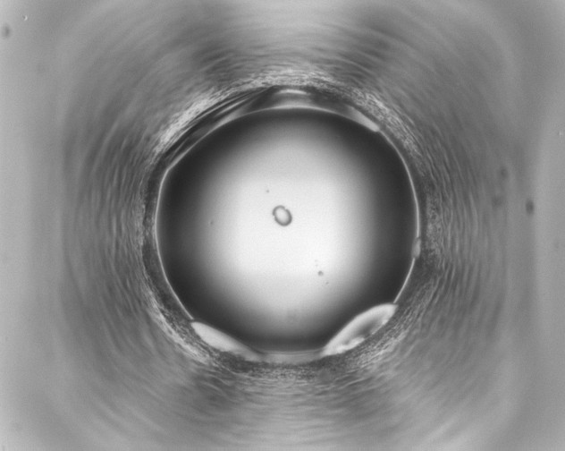 X0000088220530200705151415