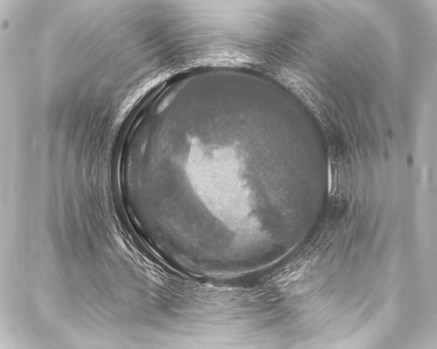 X0000088220531200705151416