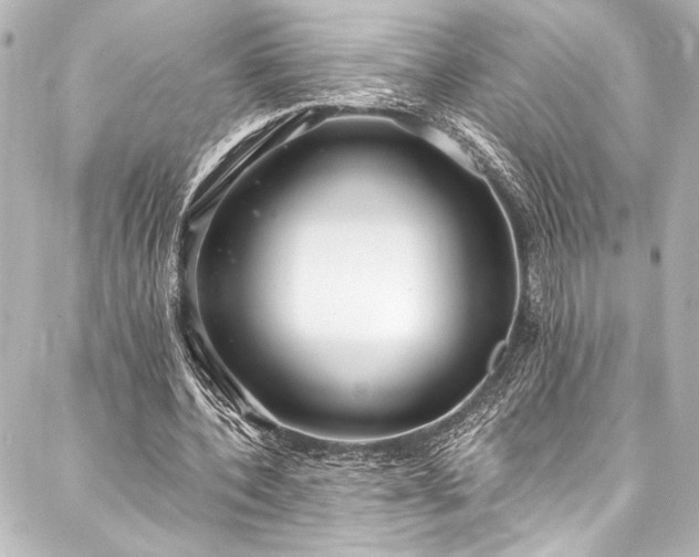 X0000088220532200705151416