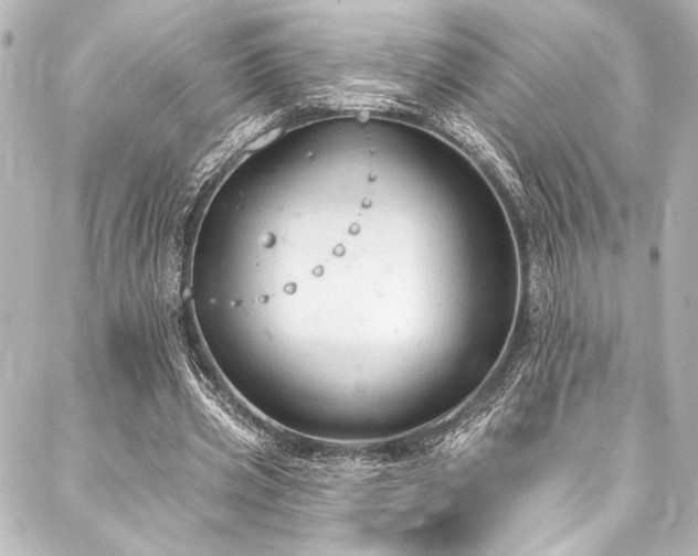 X0000088220533200705151416