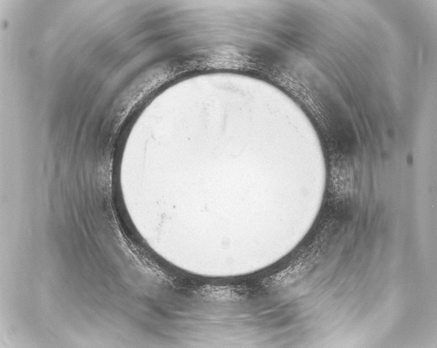 X0000088220534200705151416