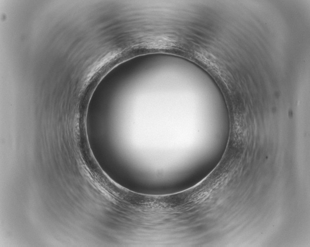 X0000088220535200705151416