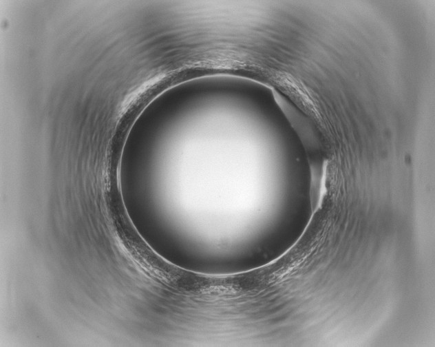 X0000088220536200705151416