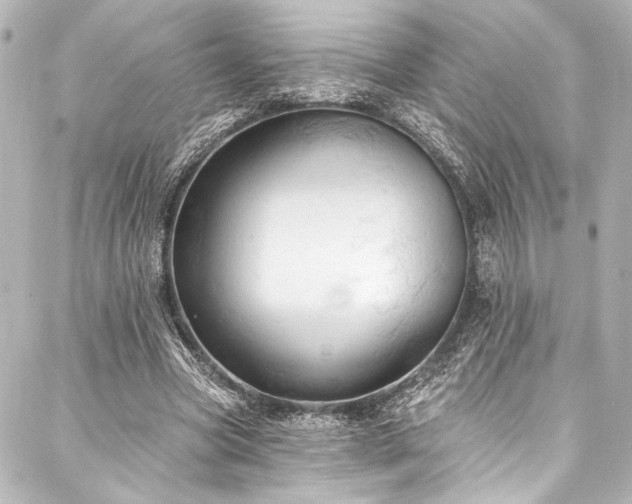 X0000088220537200705151416