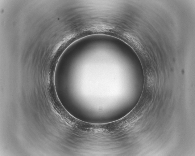 X0000088220539200705151416