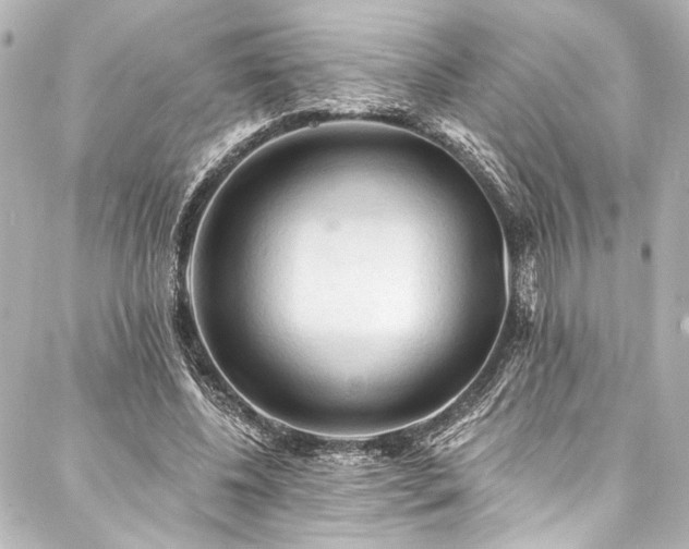 X0000088220540200705151416