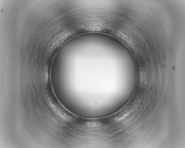 X0000088220541200705151416